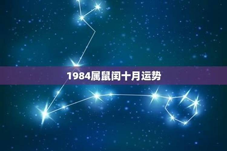 1984年1润十月二五出生的运势