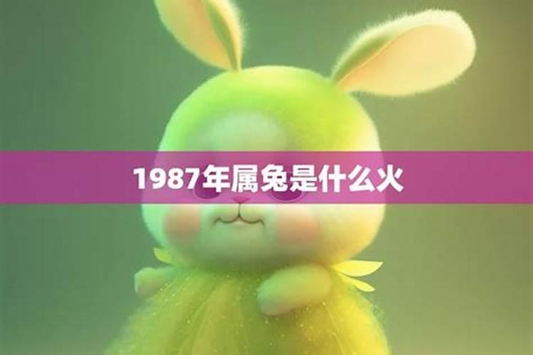 1987兔与什么合婚