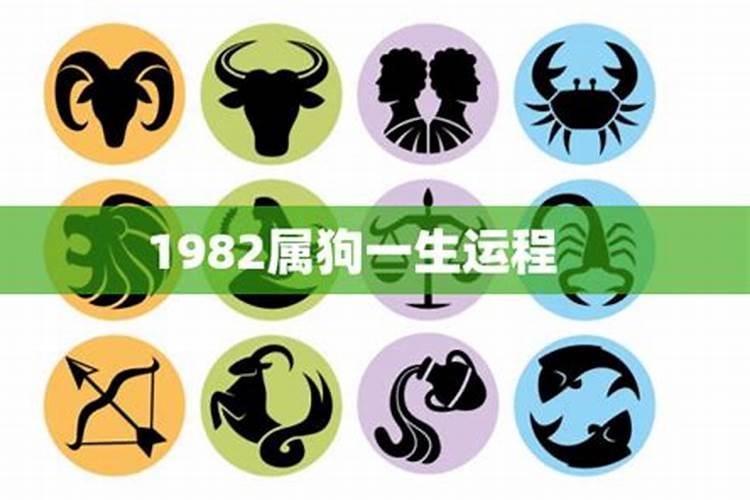 属狗1982年一生运势