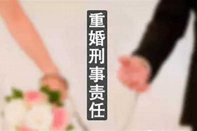 婚姻期内出轨生子算重婚吗