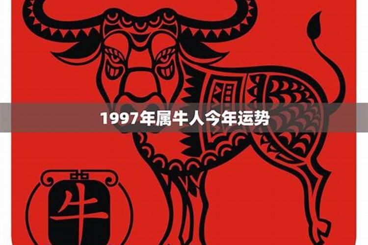 1997年属牛人的一生运程