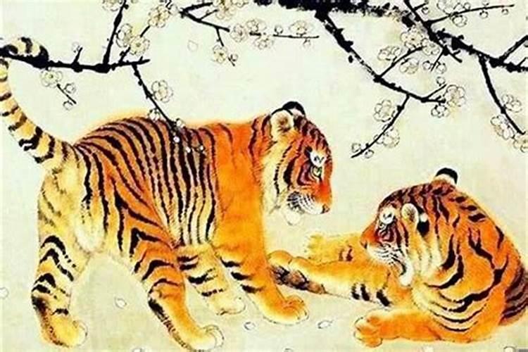 生肖虎和虎的人在一起怎么样呢