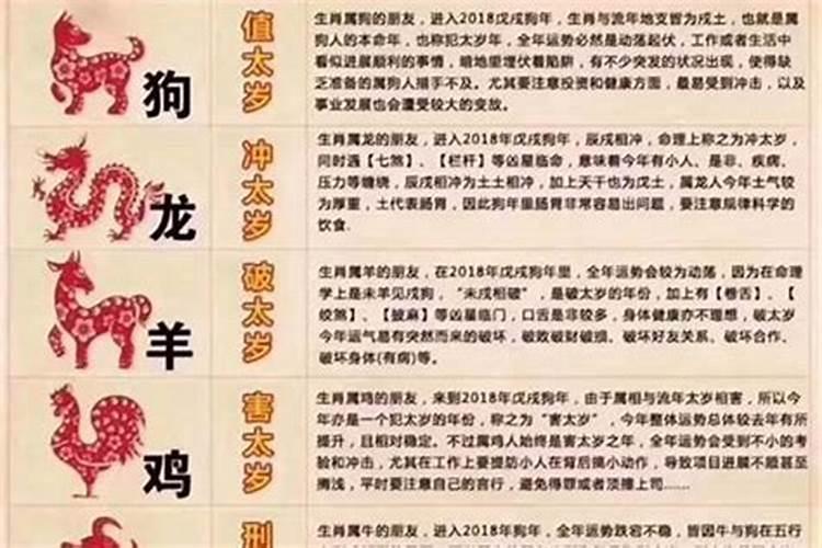 取名字需要算命吗