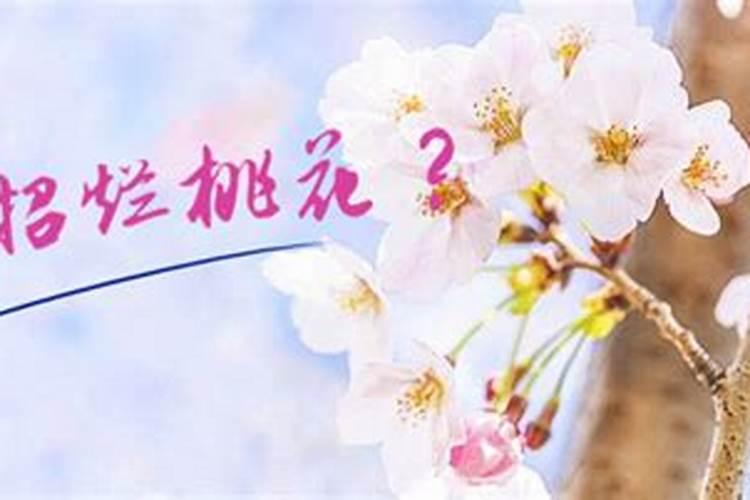 怎么避免桃花煞成灾