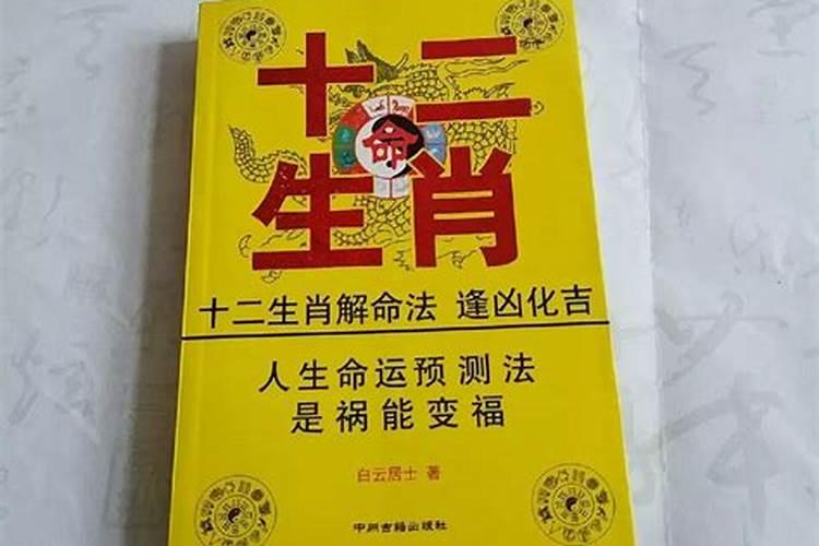 童子命都带什么任务