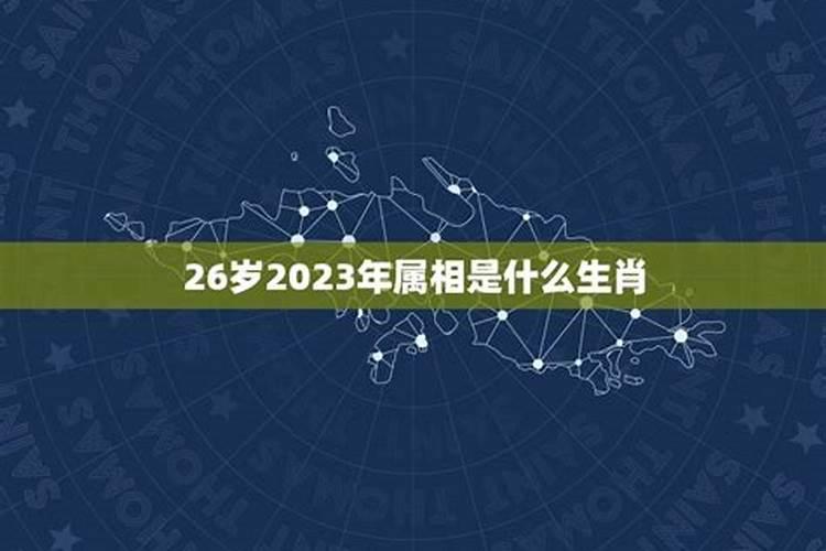 26属什么的29岁属啥的