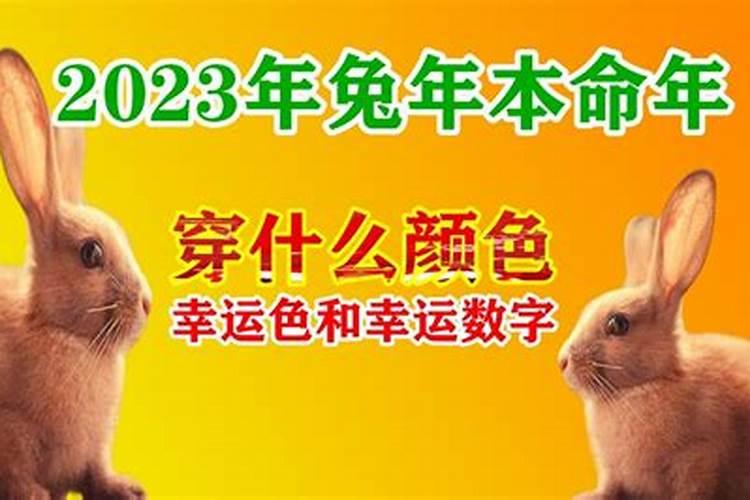 2023年属兔遇本命年幸运色