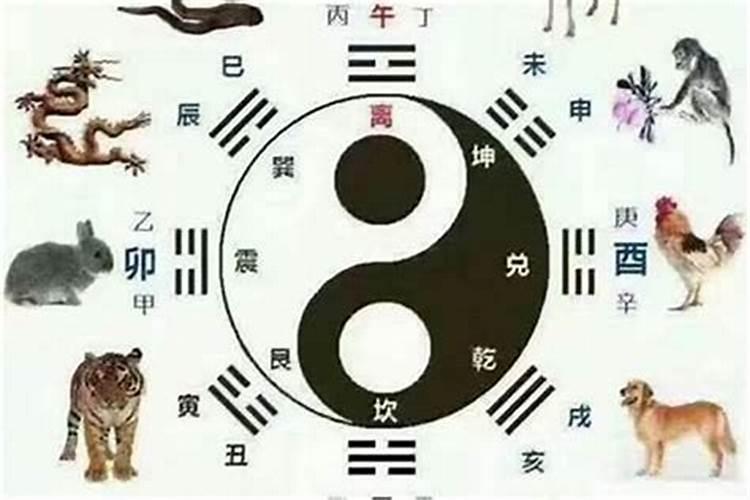 77年属什么的