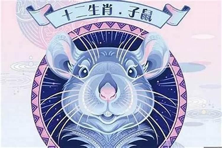 属鼠今年运势及运程