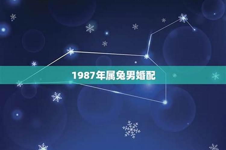 1987年属兔男贵人生肖