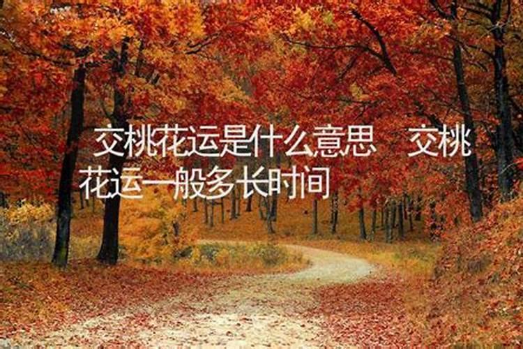 桃花运代表什么意思呢？男人的桃花运是什么