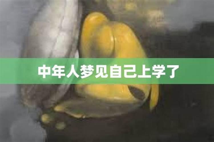 梦见女友和自己上学