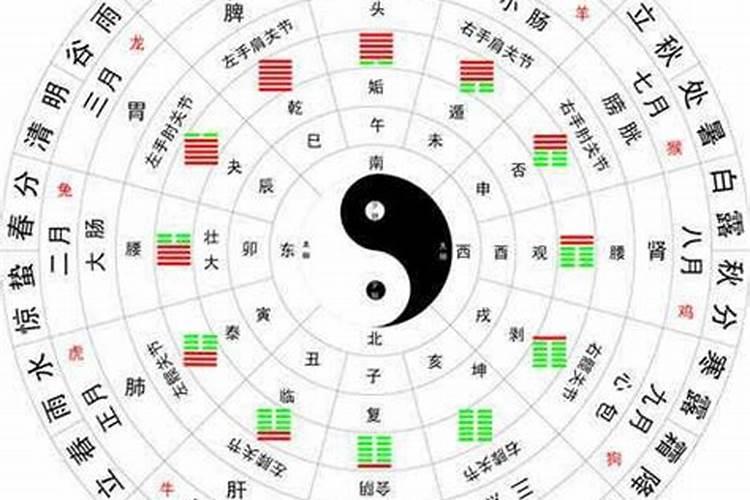 怎样算八字四柱五行