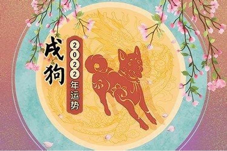 属狗今年运势如何