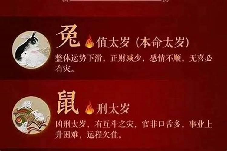 每个属相都会犯太岁吗