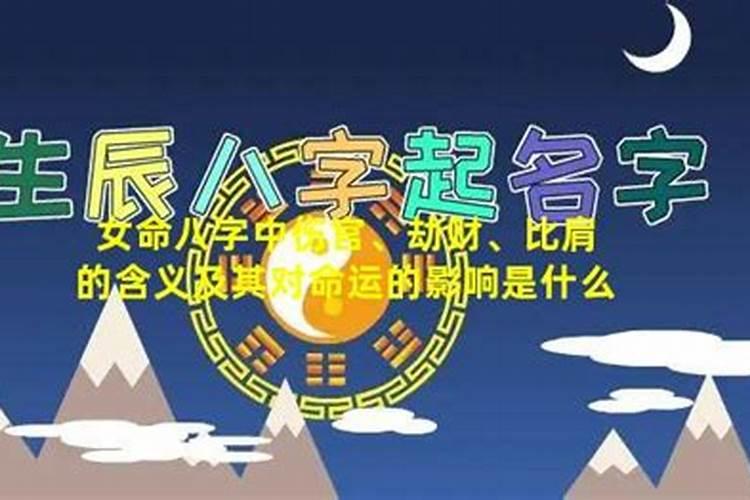 2024年羊和鸡犯太岁吗