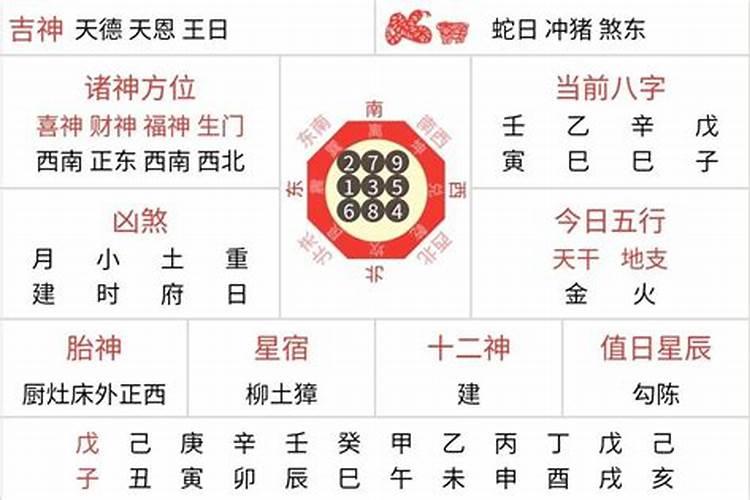 12生肖每日运势大全