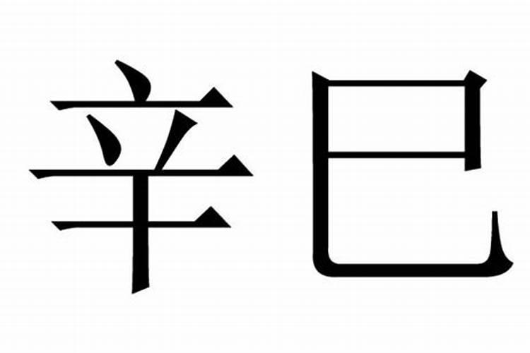 辛巳的生辰八字好吗