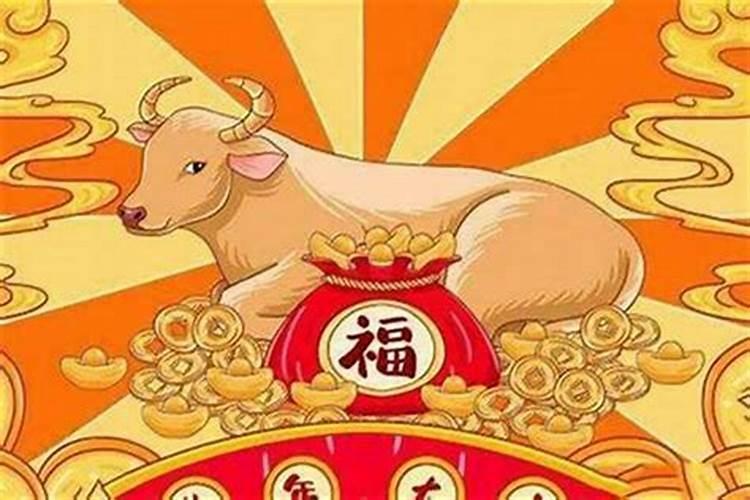 属猪的今年的运程好不好