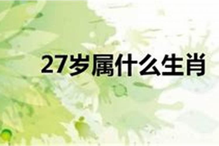 27岁属什么生肖的2021