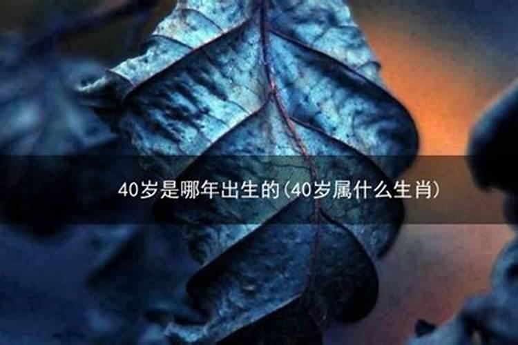 40岁是哪一年属什么？40岁属什么的今年多大