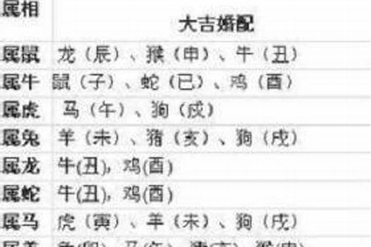 40岁是哪一年属什么？40岁属什么的今年多大