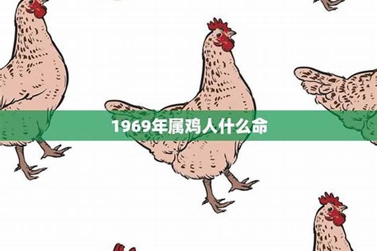 1969年属鸡人一生运势