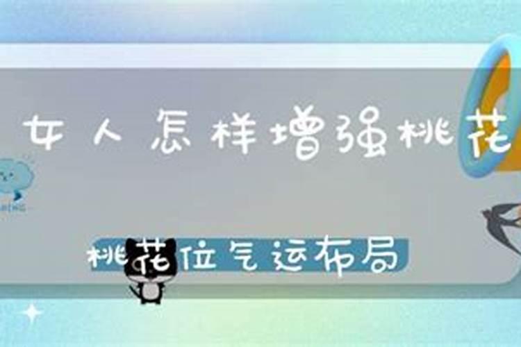 合婚月柱代表什么