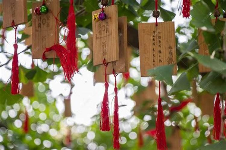 七夕节的七棵许愿树在哪