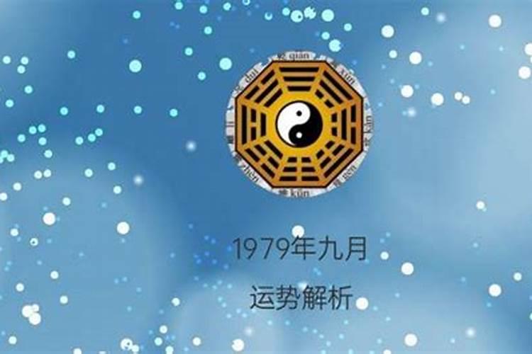 农历15属什么生肖运势