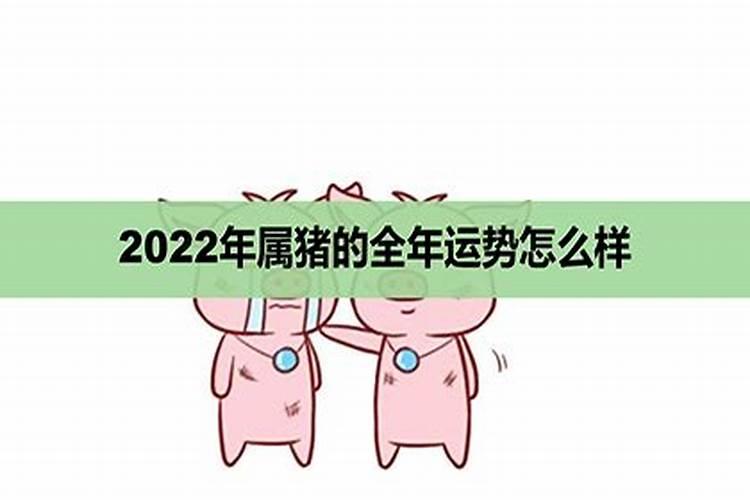 2022年肖猪人运势及运程