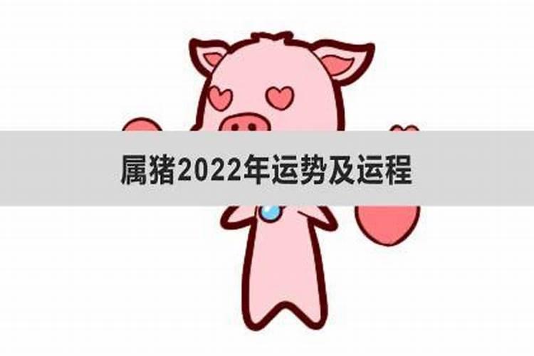 属猪2022年运势