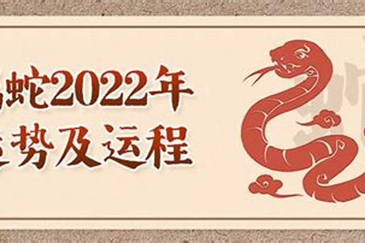 属属2022年运势