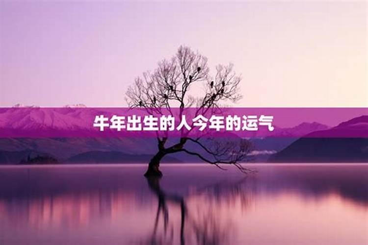 梦到男朋友爸妈周公解梦