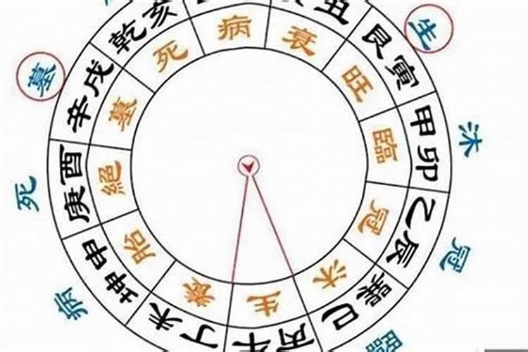 八字中星运胎是什么意思