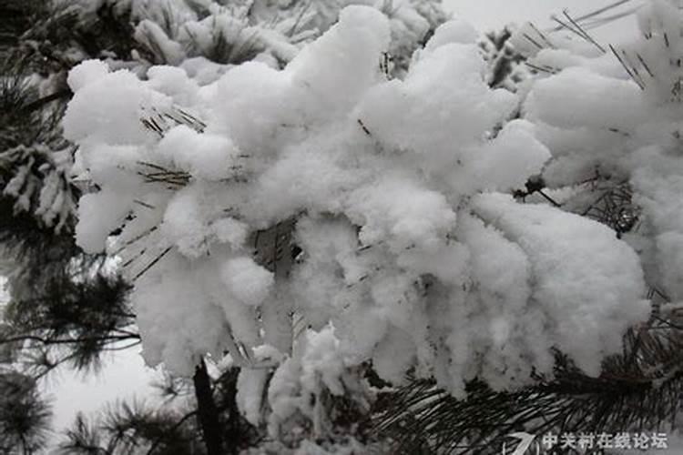 锦州正月初二大雪是哪一年