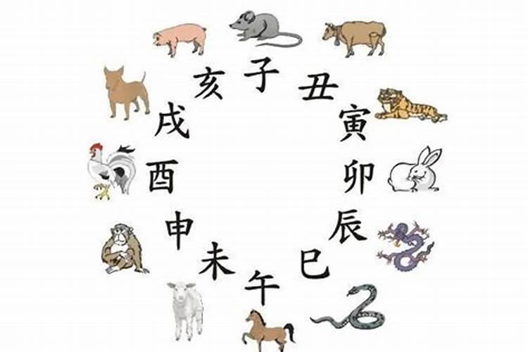 井字猜一生肖