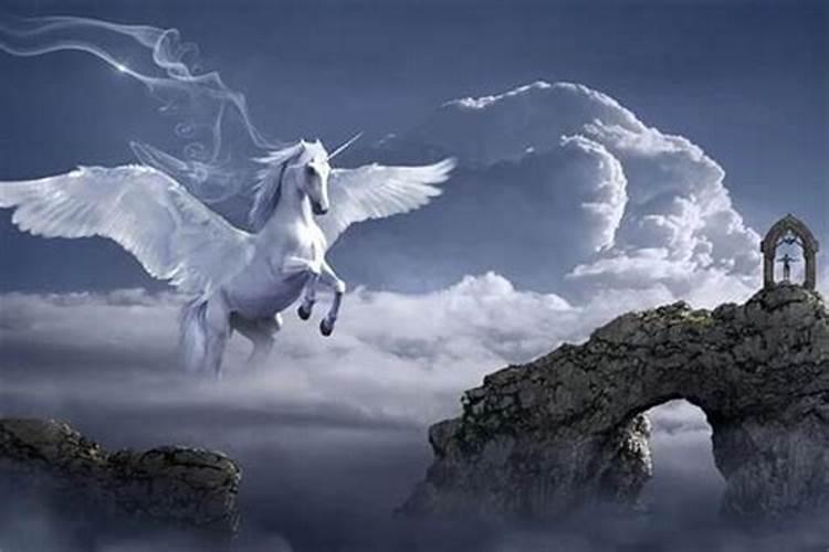 梦见马在天空跑周公解梦