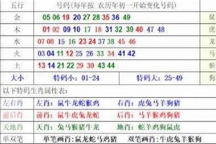 今晚上什么生肖请把告诉一下