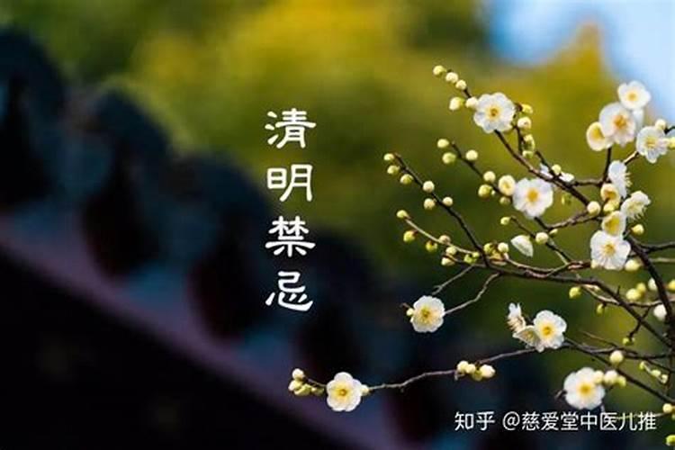 清明节扫墓的9大禁忌