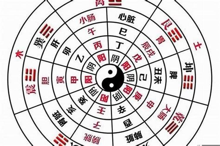 阴阳八字算命怎么看