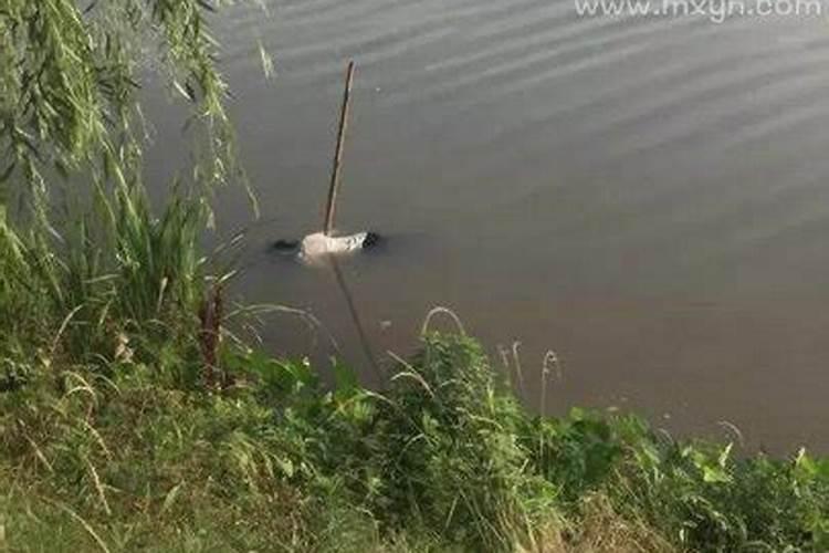 梦见人的死尸什么预兆