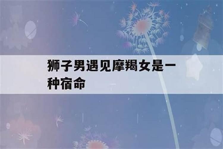 狮子男和摩羯女配对指数