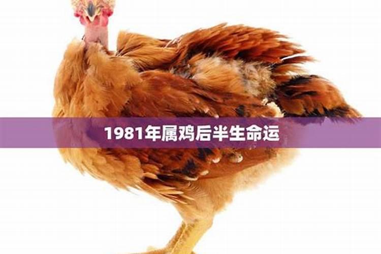 1979年属羊每月运势及运程详解