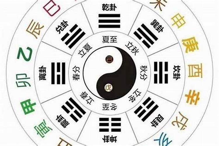 十二时辰是天干还是地支？丙寅虎和己巳蛇