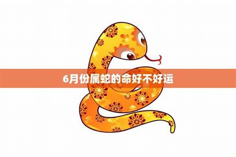 6月蛇人运势如何