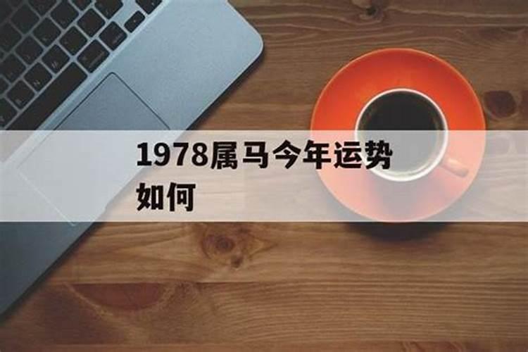 1978属马的人今年的运势怎么样