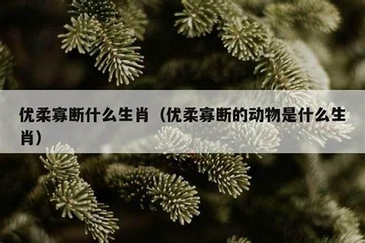 优柔寡断指的是什么生肖？胆小怯懦的生肖