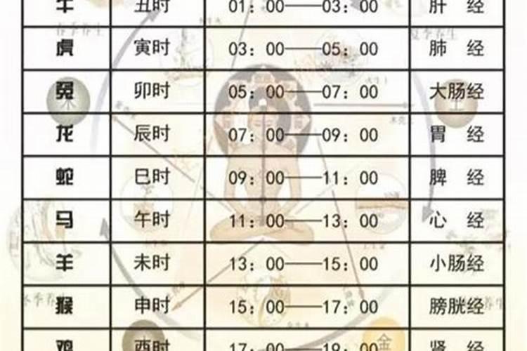 中午7点到9点是啥时辰？子时戌时都是几点？