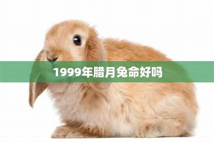 1999年腊月25日出生